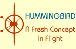 Hummingbird: A Fresh Concept in Flight